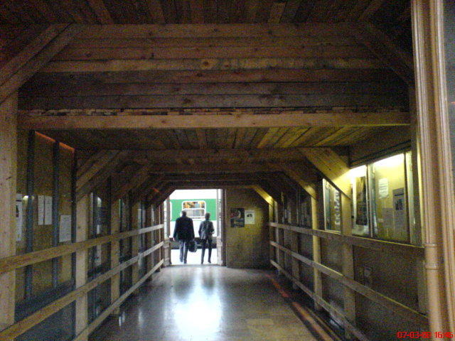 Scaled image keletipu5.jpg 