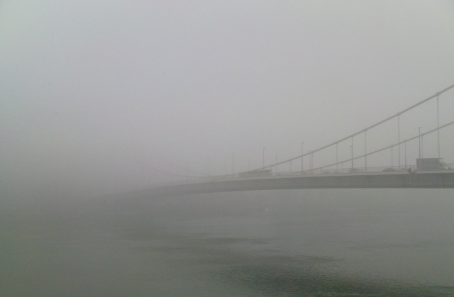 Scaled image kodhid.jpg 