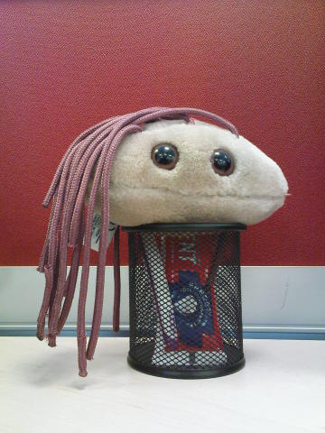 Scaled image msbaci.jpg 