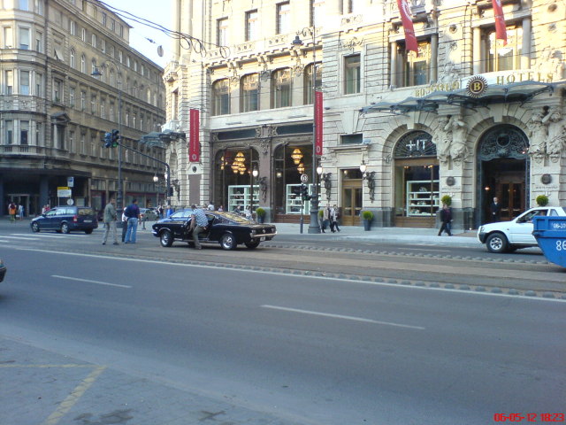 Scaled image mustang.jpg 