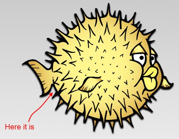 Scaled image openbsdbackdoorlocated.jpg 