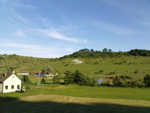 Scaled image oriasgyik.jpg 