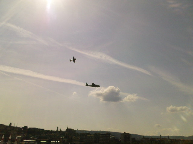 Scaled image dsc01239.jpg 