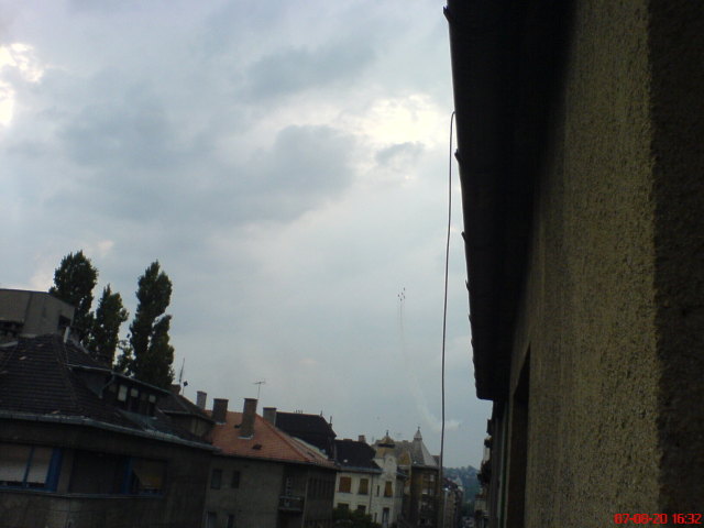 Scaled image delfinek03.jpg 