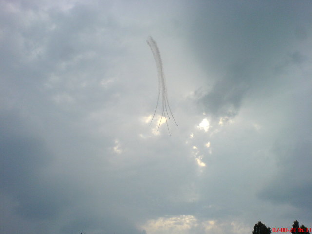 Scaled image delfinek06.jpg 