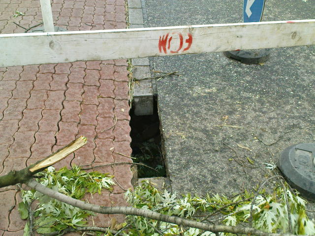 Scaled image DSC04608.JPG 