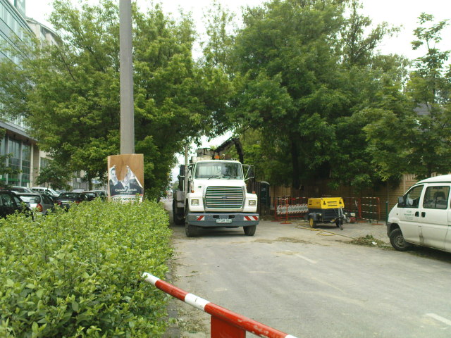 Scaled image DSC04613.JPG 