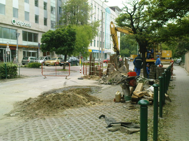 Scaled image DSC04618.JPG 