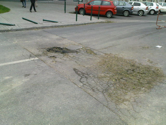 Scaled image DSC04619.JPG 