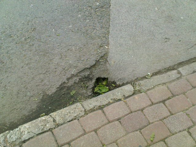 Scaled image DSC04620.JPG 