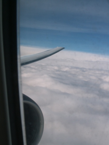 Scaled image PICT9256.JPG 