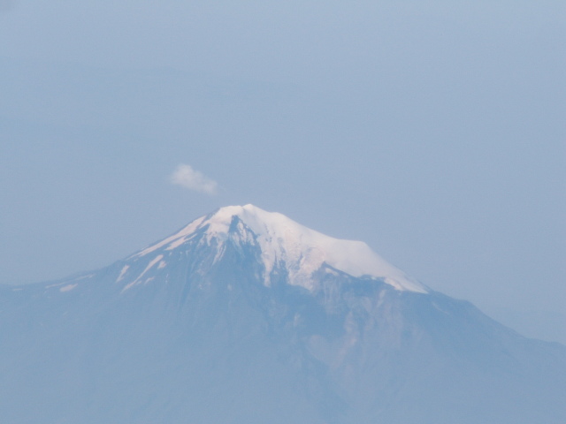 Scaled image PICT9401.JPG 