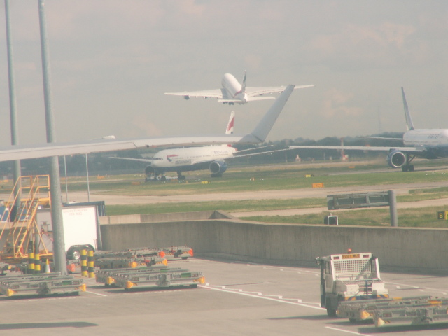 Scaled image PICT9482.JPG 