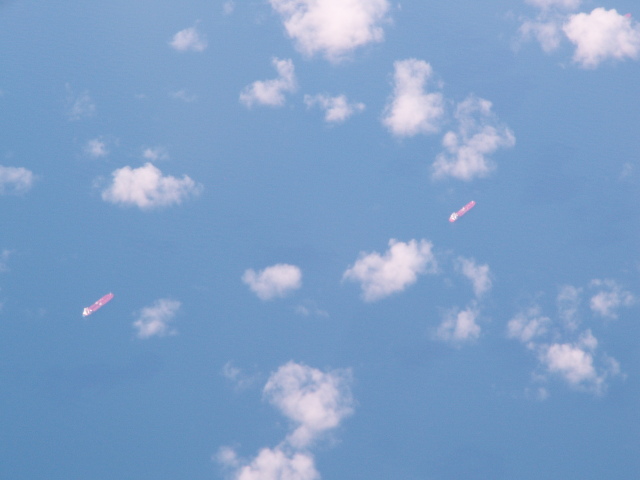 Scaled image PICT9509.JPG 