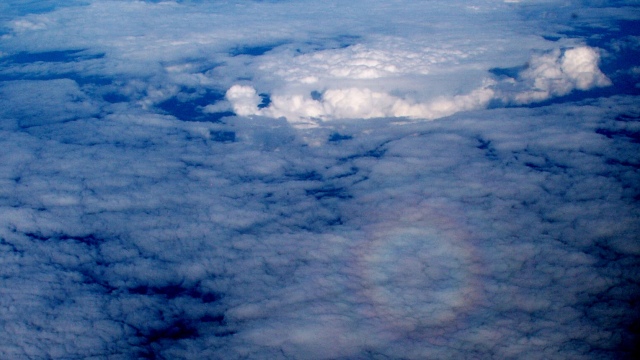 Scaled image PICT9540.JPG 