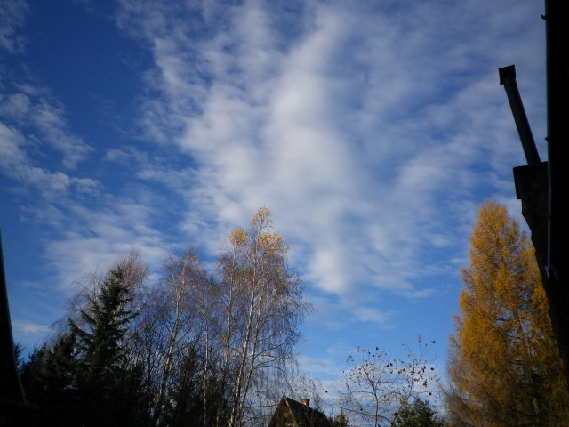 Scaled image IMGP0297.JPG 