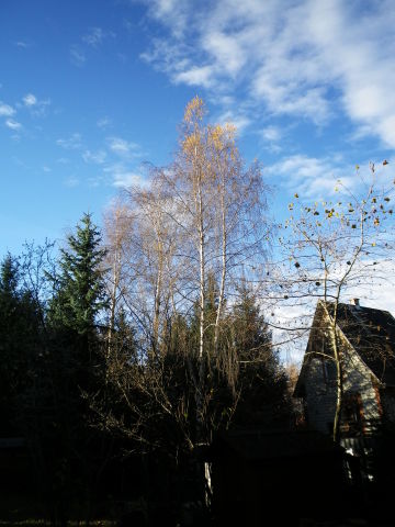 Scaled image IMGP0303.JPG 