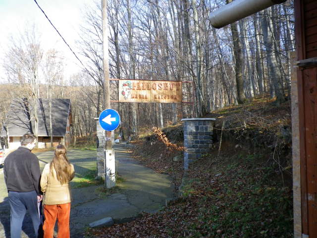 Scaled image IMGP0315.JPG 