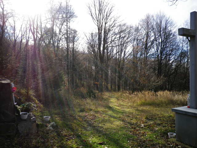 Scaled image IMGP0363.JPG 