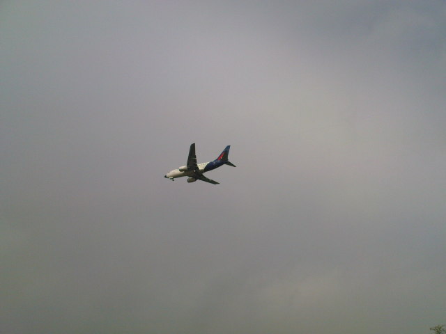 Scaled image fh1-200811-05.jpg 