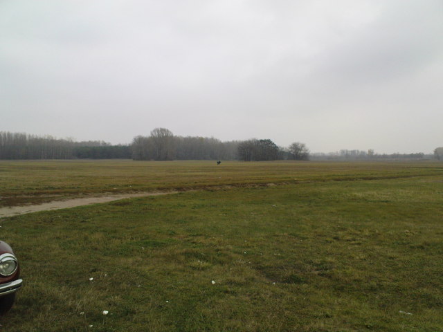 Scaled image fh1-200811-17.jpg 