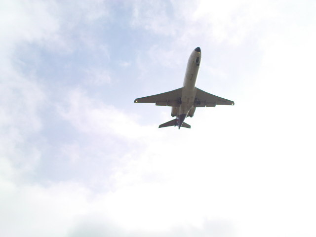 Scaled image fh1-200811-18.jpg 