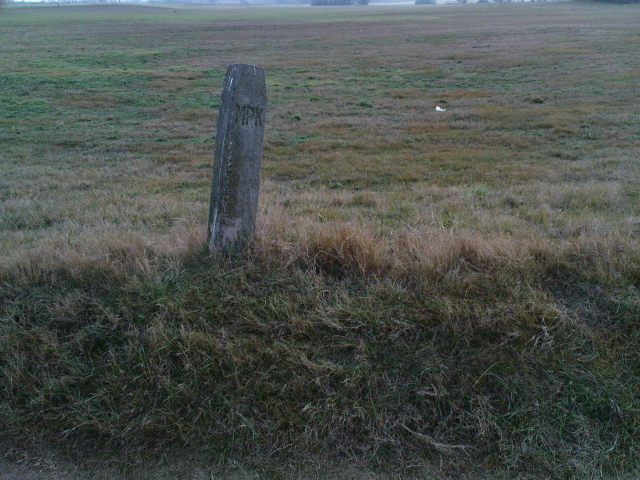 Scaled image fh1-200811-19.jpg 