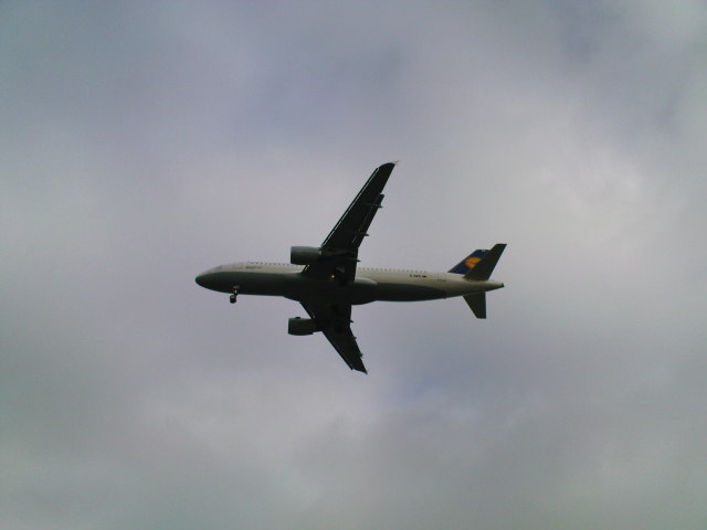 Scaled image fh1-200811-22.jpg 