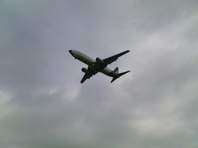 Scaled image fh1-200811-24.jpg 