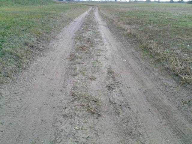 Scaled image fh1-200811-29.jpg 