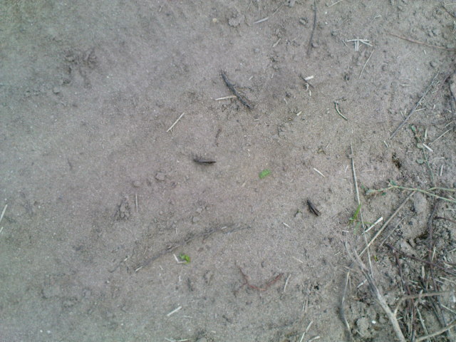 Scaled image fh1-200811-30.jpg 