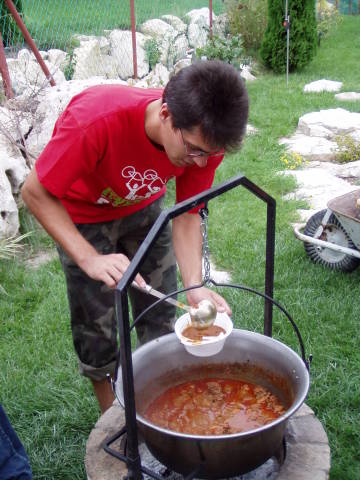 Scaled image p8250002.jpg 