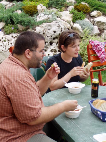 Scaled image p8250016.jpg 