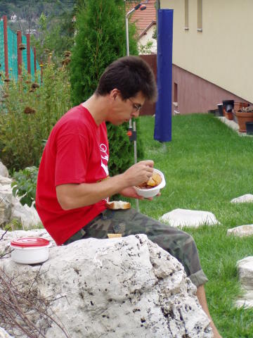 Scaled image p8250023.jpg 