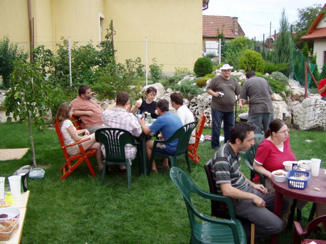 Scaled image p8250029.jpg 