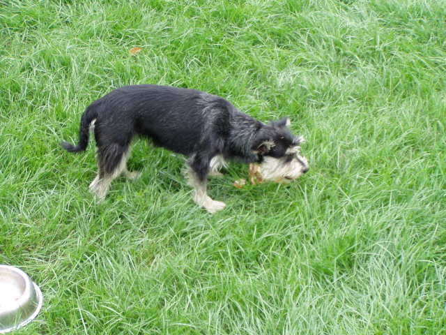 Scaled image p8250032.jpg 