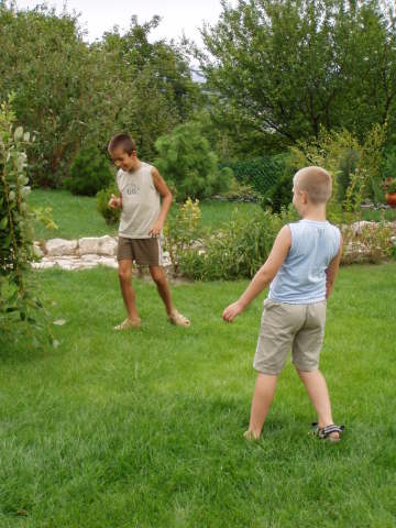 Scaled image p8250035.jpg 