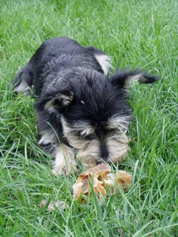 Scaled image p8250036.jpg 