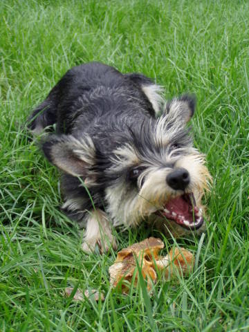 Scaled image p8250037.jpg 