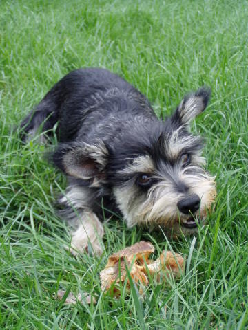 Scaled image p8250038.jpg 