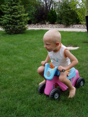 Scaled image p8250041.jpg 