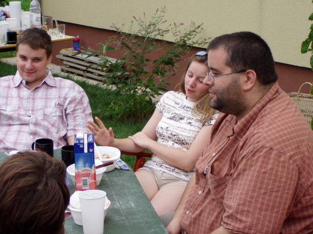 Scaled image p8250094.jpg 