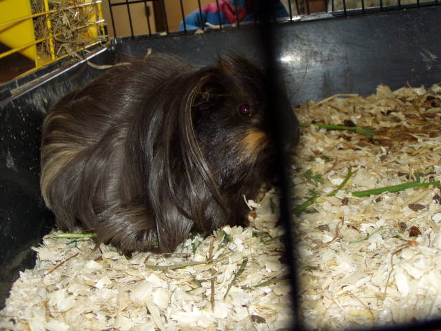 Scaled image p8250099.jpg 