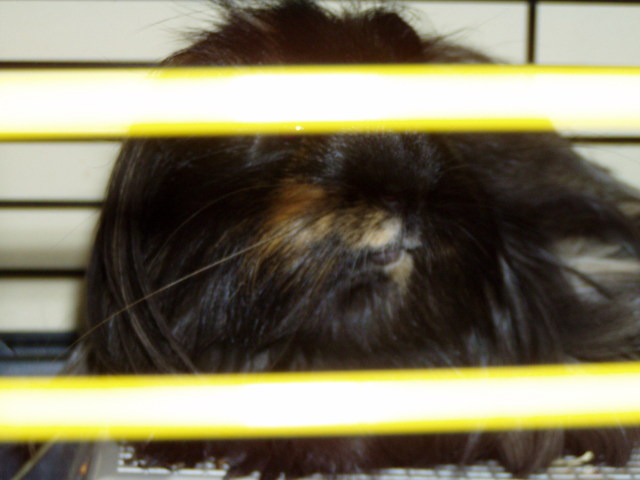 Scaled image p8250113.jpg 