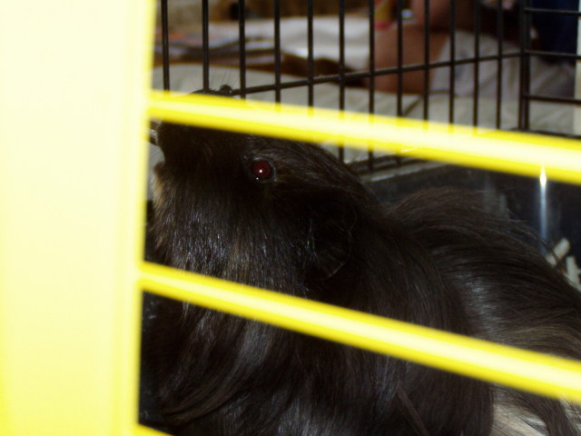 Scaled image p8250114.jpg 