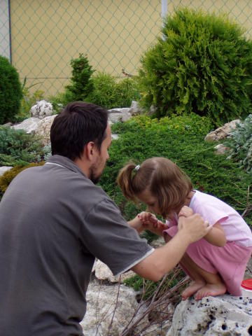 Scaled image p8250133.jpg 