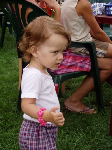 Scaled image p8250159.jpg 