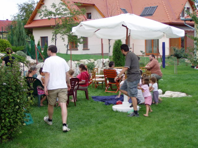 Scaled image p8250179.jpg 