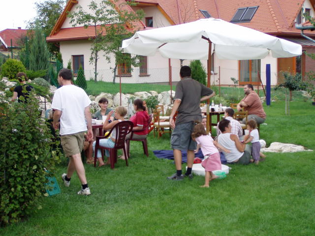 Scaled image p8250180.jpg 