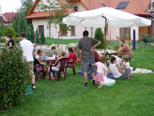 Scaled image p8250181.jpg 